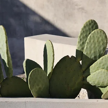 Fjore Di Lecce, & Caffe *