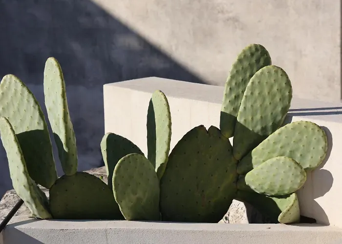 Fjore Di Lecce, & Caffe *